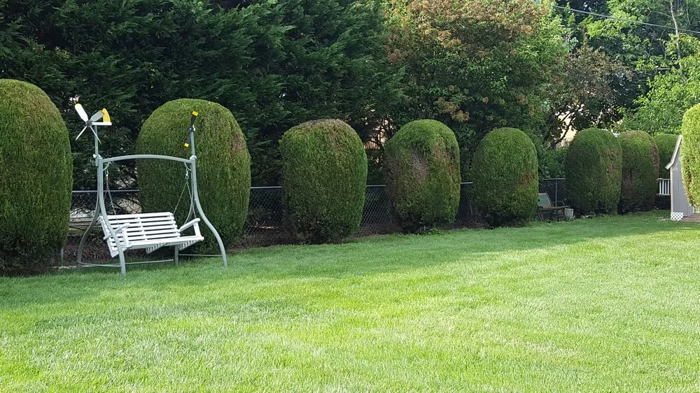 Trusted landscape design experts serving Harrisonburg, VA - J&J Landscaping