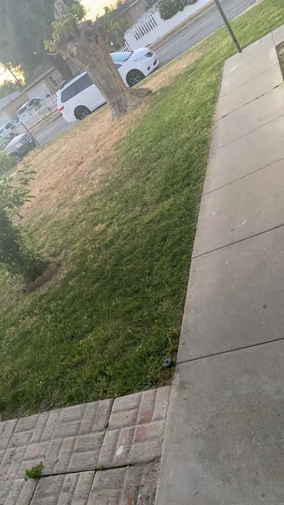 Top-rated landscape installation for outdoor upgrades across Hemet, CA - J&J Landscaping