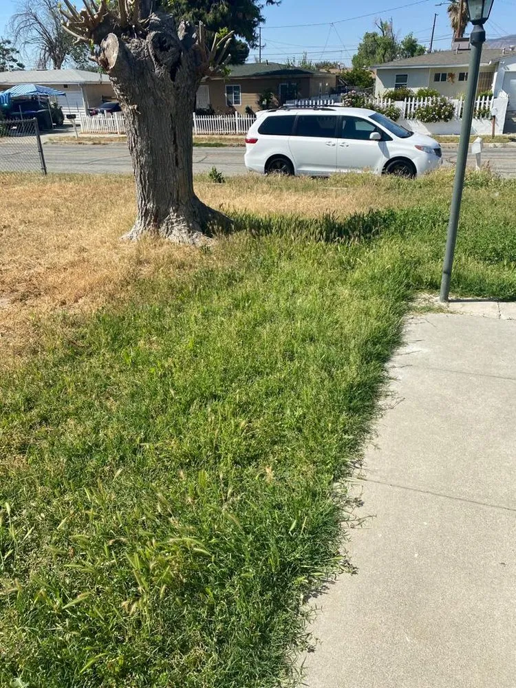 Trusted outdoor landscaping experts serving Hemet, CA - J&J Landscaping