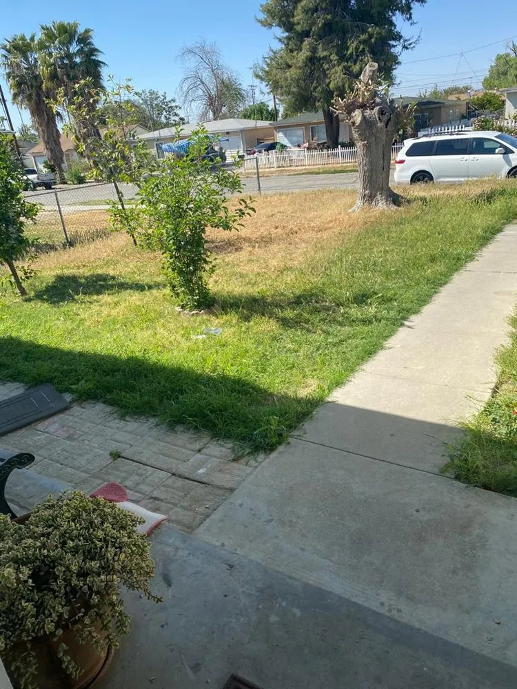 Affordable lawn care service in Hemet, CA - J&J Landscaping