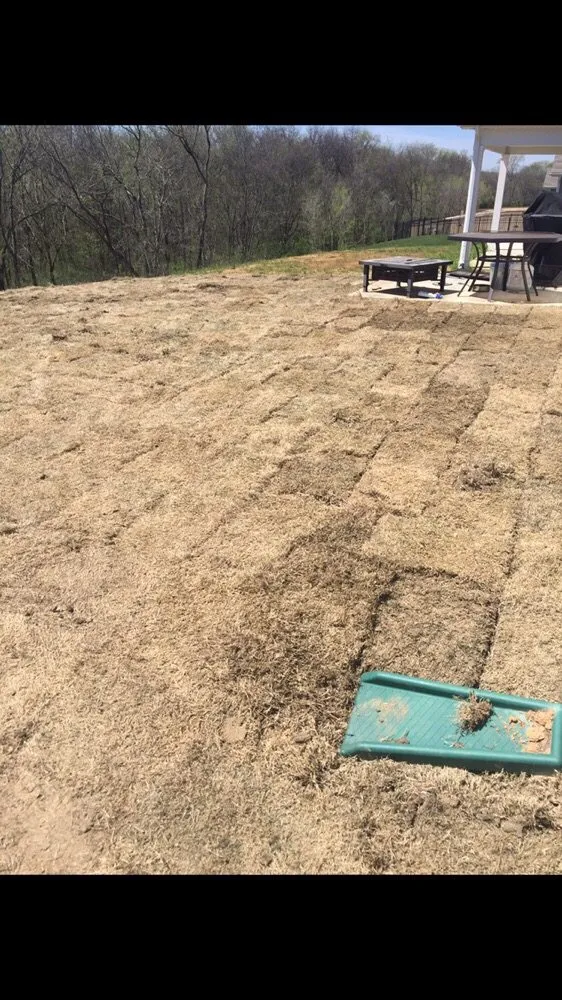 Expert garden landscaping for year-round maintenance across Lawrenceburg, TN - J&J Landscaping