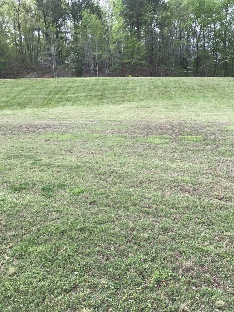 Reliable lawn care service for year-round maintenance in Lawrenceburg, TN by J&J Landscaping
