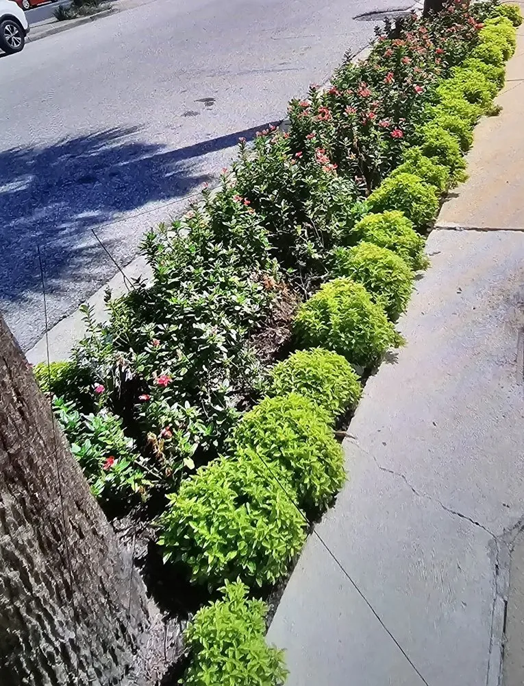 Local garden landscaping in Loxley, AL - J&J Landscaping