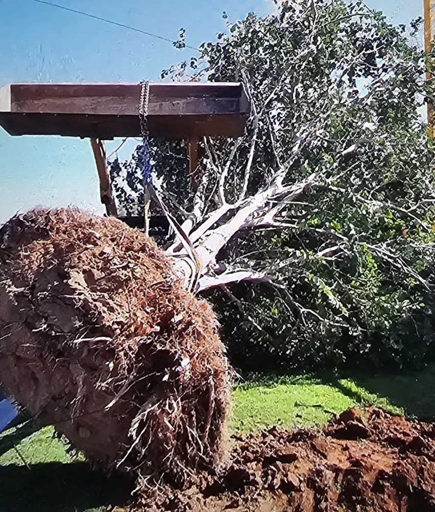 Trusted outdoor landscaping in Loxley, AL - J&J Landscaping