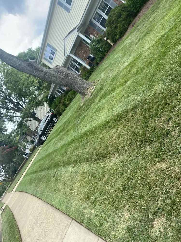 Expert residential landscaping for residential properties in Manassas Park, VA by J&J Landscaping