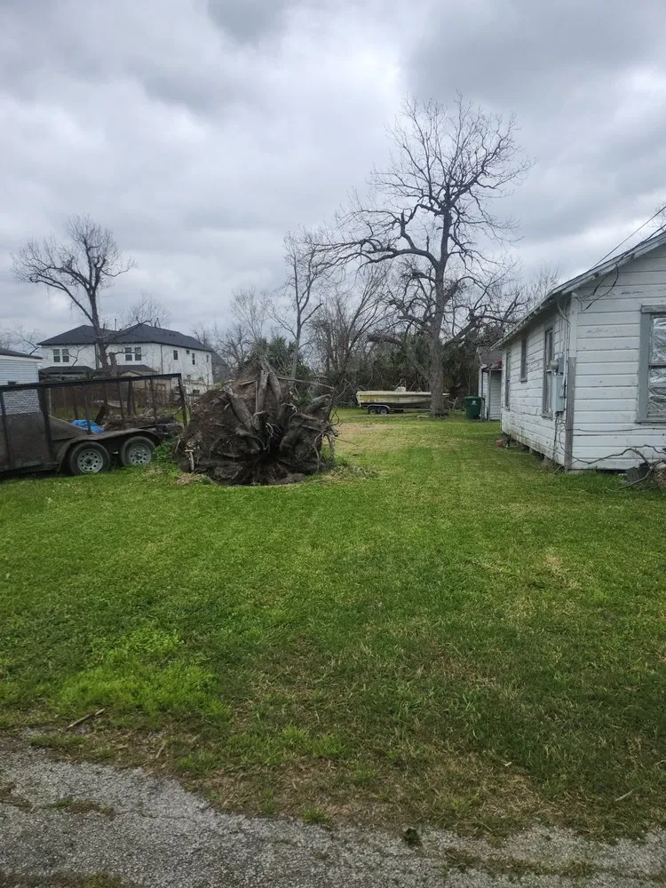 Expert lawn mowing service in Houston, TX - Jj Landscaping Services