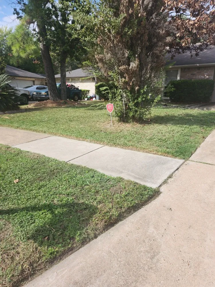Trusted yard cleanup service in Houston, TX - Jj Landscaping Services