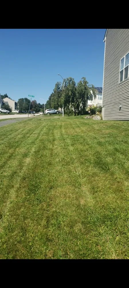 Affordable outdoor landscaping in Worcester, MA - J&J landscaping services