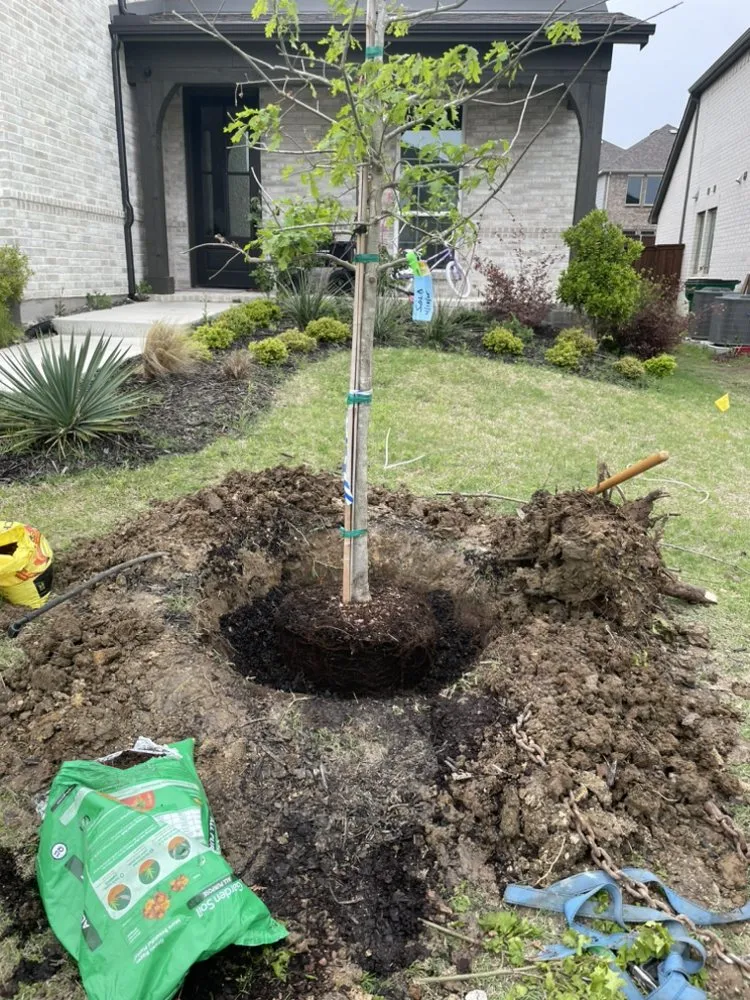 Trusted lawn mowing service experts serving Princeton, TX - J&J Landscaping sevices