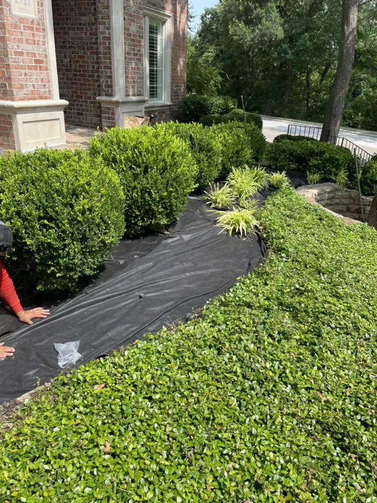 Reliable garden landscaping with custom design in Princeton, TX by J&J Landscaping sevices