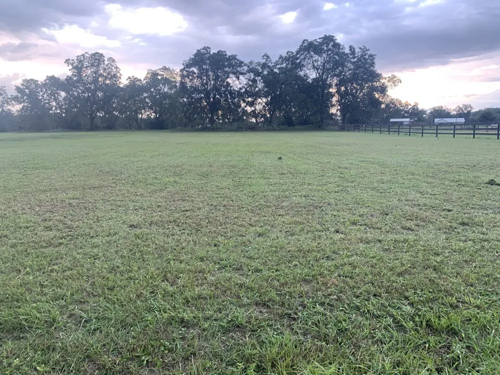 Local landscape design in Slocomb, AL by J&J Landscaping