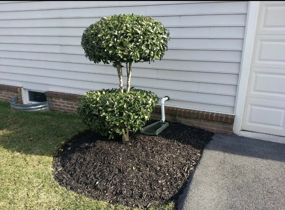 Professional garden landscaping in Washington DC, DC - J&J Landscaping