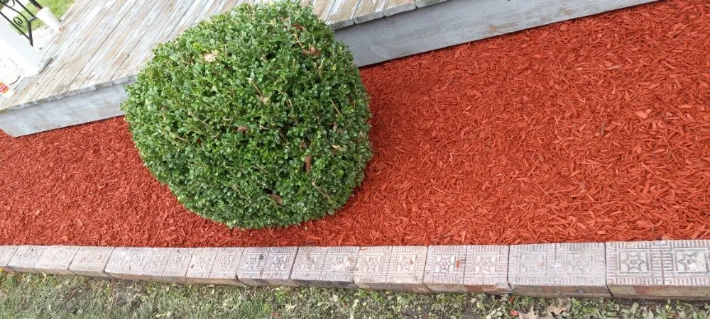 Professional garden landscaping for beautiful yards across Winchester, IN - J&J Landscaping