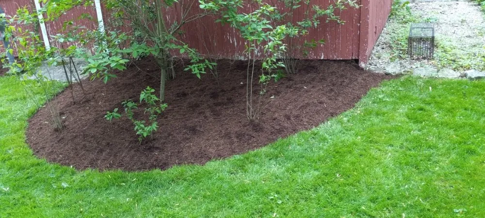 Reliable yard cleanup service in Winchester, IN by J&J Landscaping