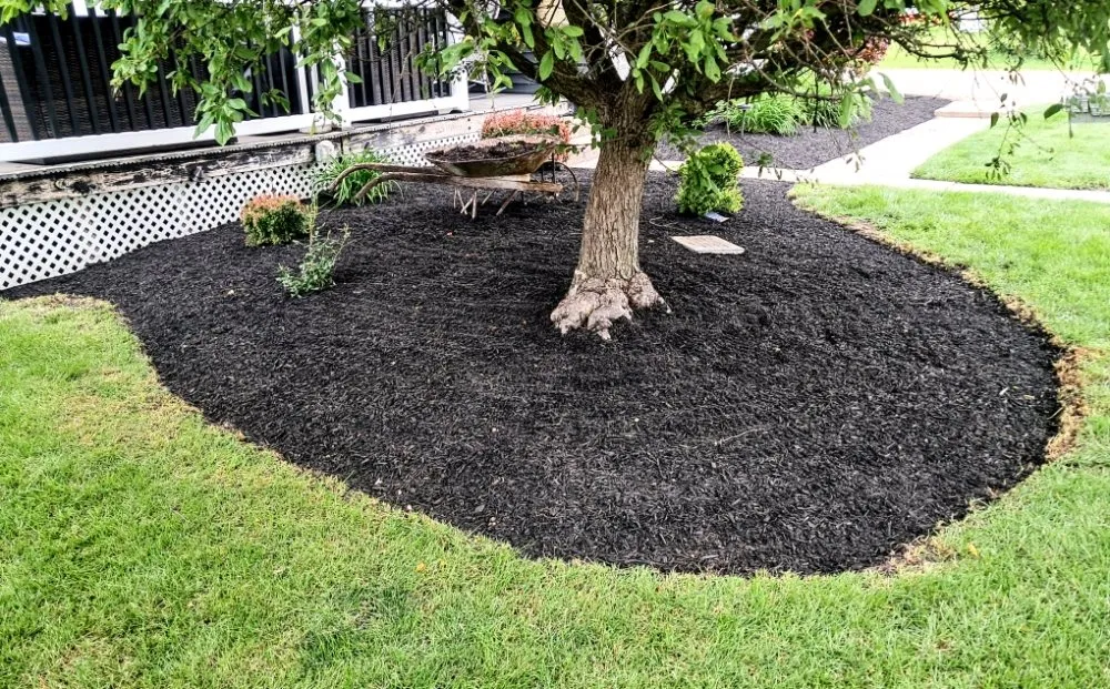 Custom yard maintenance experts serving Winchester, IN - J&J Landscaping