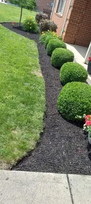 J&J Landscaping