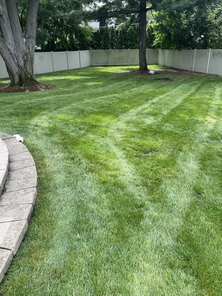 Affordable garden landscaping in Aurora, IL - J&j Law Care