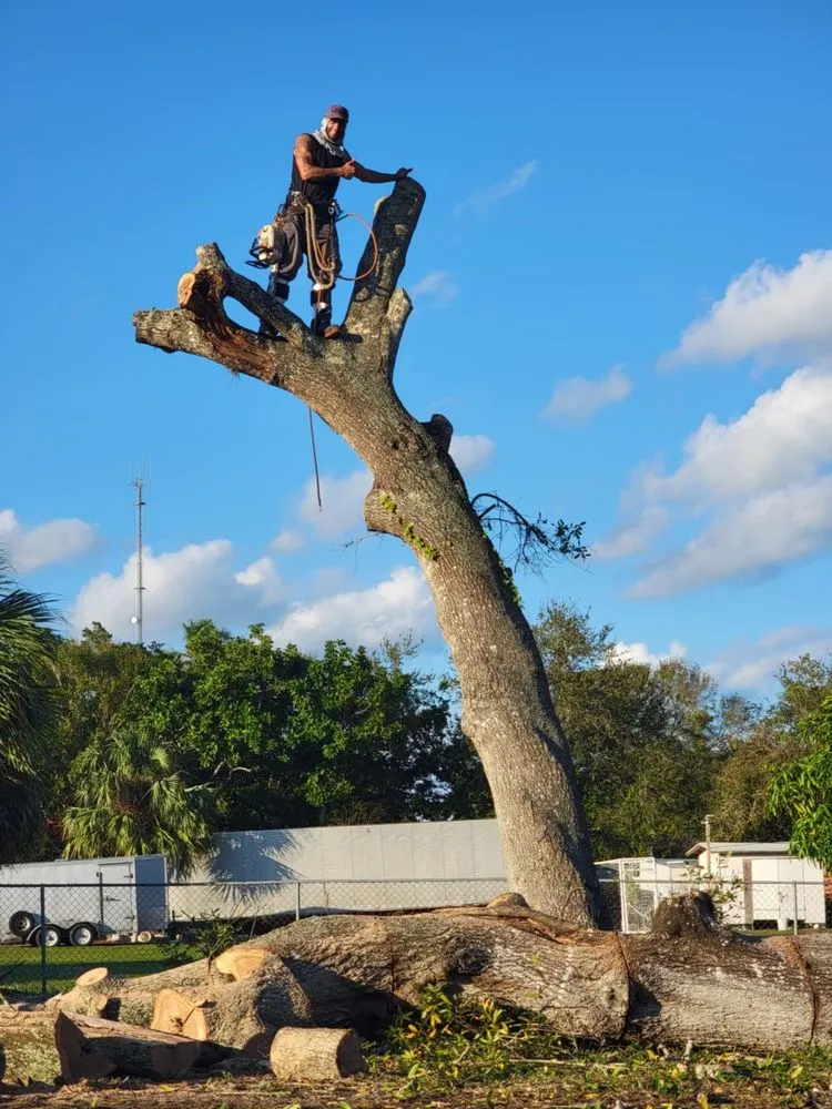 Trusted landscape installation for homes in Fort Pierce, FL by J&J Lawn & Landscape