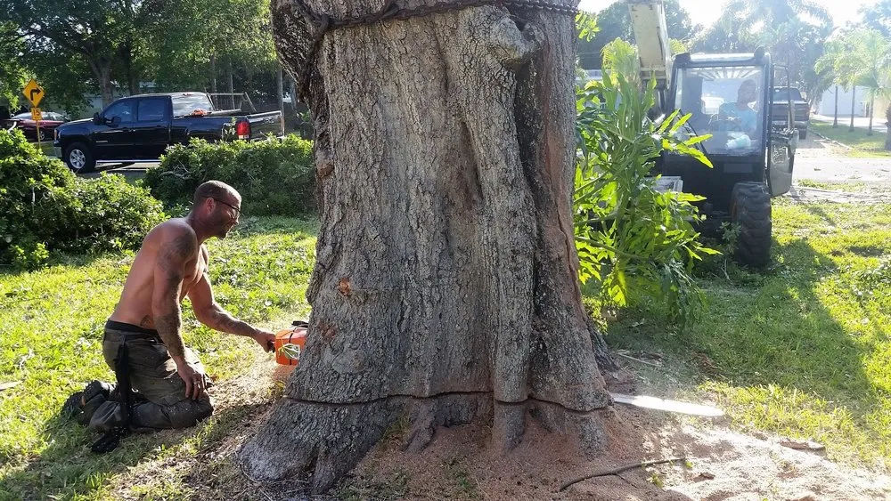 Affordable garden landscaping in Fort Pierce, FL - J&J Lawn & Landscape