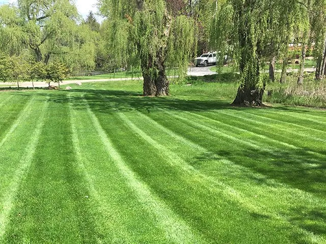 Custom lawn care service in Elizabethton, TN - J&J Lawn Care and Pressure Washing