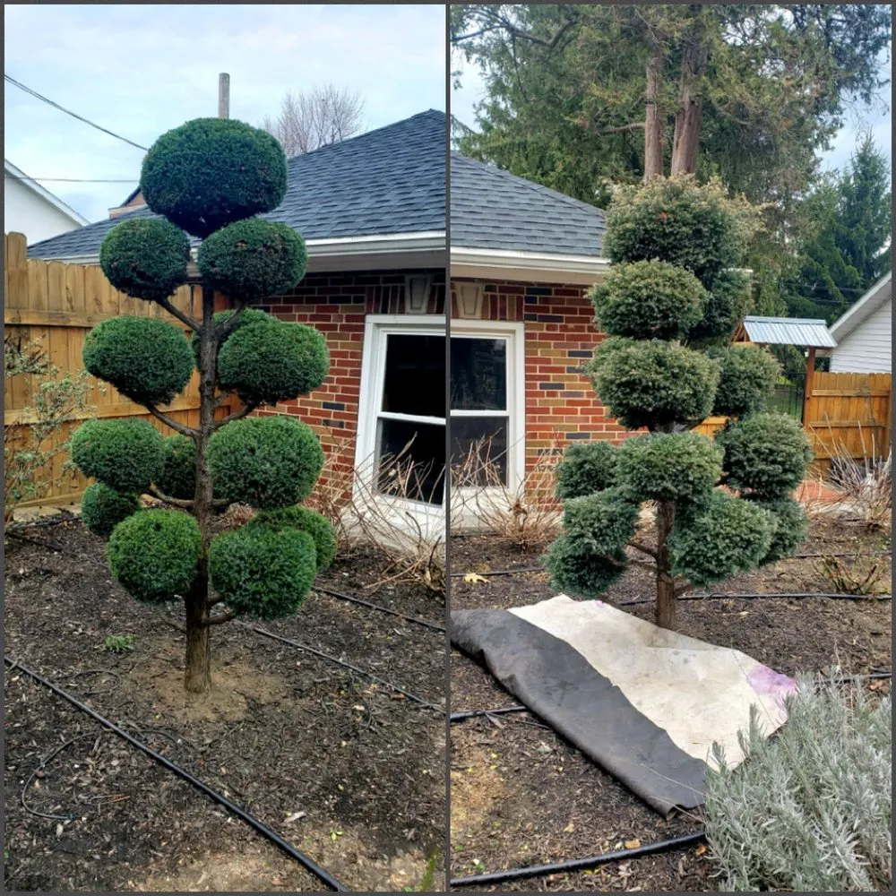 Professional lawn mowing service for outdoor upgrades across Dover, PA - JJ Lawn Care