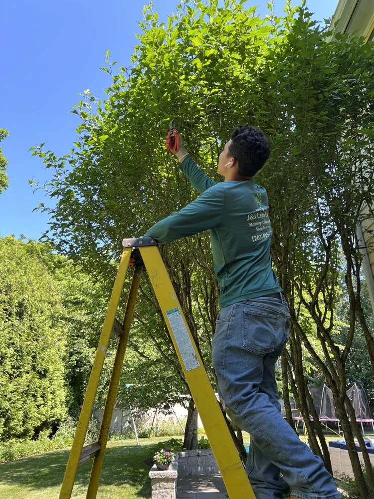 Reliable yard cleanup service experts serving Riverside, CT - J&J Lawn Care