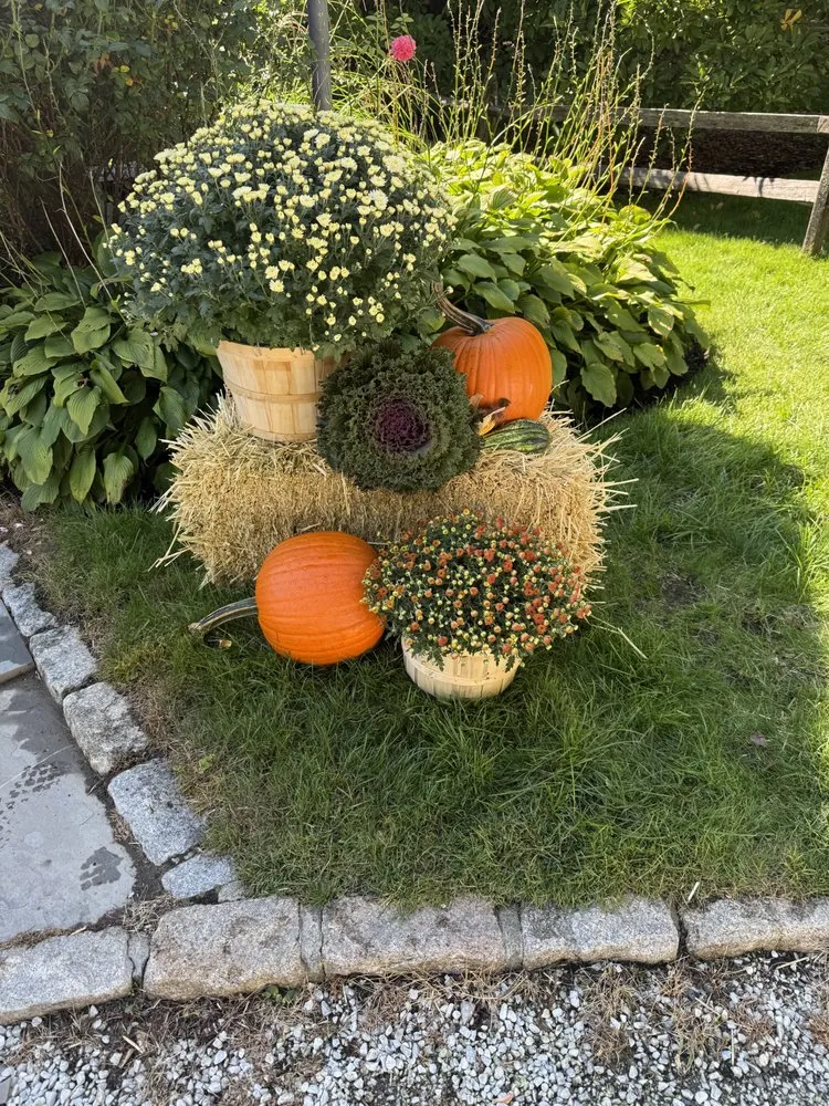 Affordable lawn care service in Riverside, CT - J&J Lawn Care