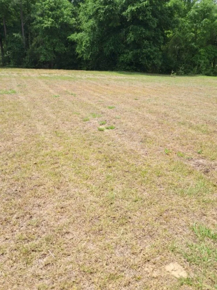 Custom yard maintenance in Crestview, FL by J&J Lawn Legends