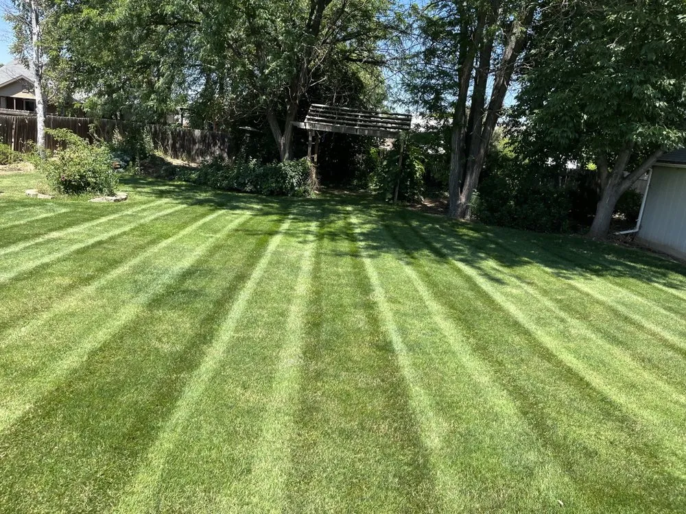 Local lawn mowing service in Nampa, ID - J&J Lawn Maintenance