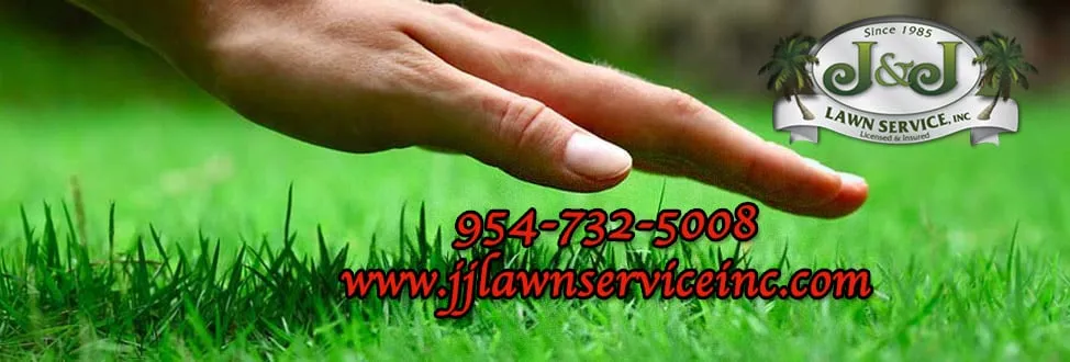 Reliable yard maintenance experts serving Coral Springs, FL - J&J Lawn Service