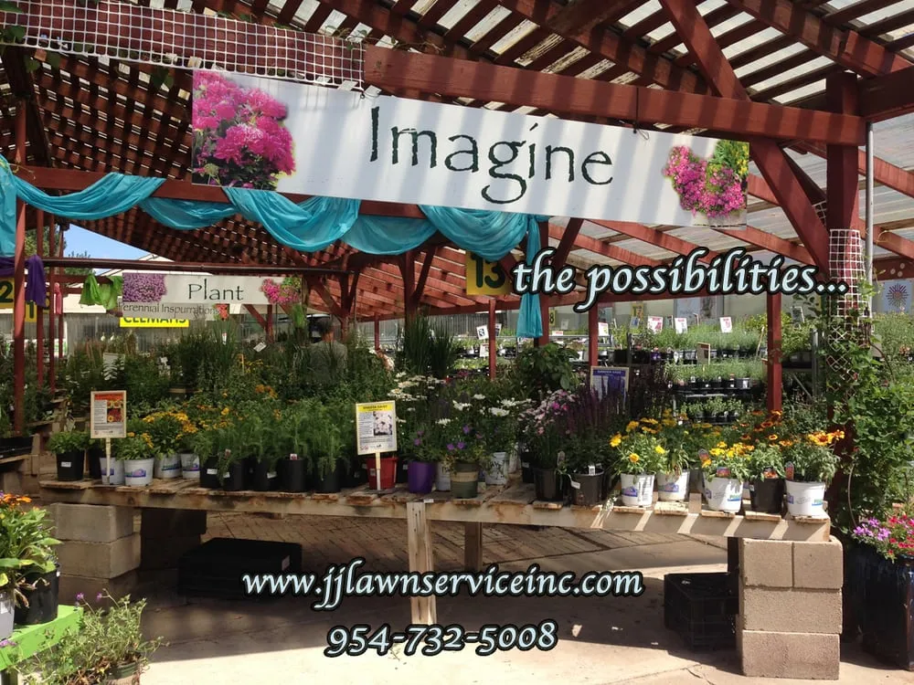 Local yard cleanup service experts serving Coral Springs, FL - J&J Lawn Service