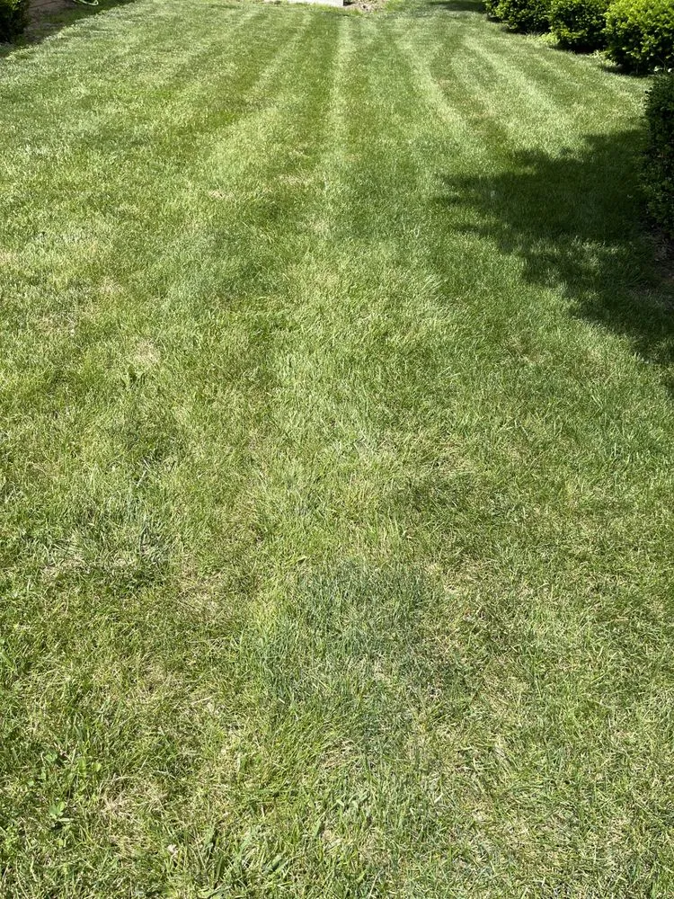 Top-rated landscape installation experts serving Eaton, OH - J&J Lawn Service