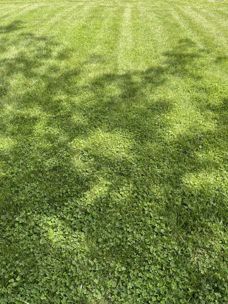 Affordable garden landscaping in Eaton, OH - J&J Lawn Service