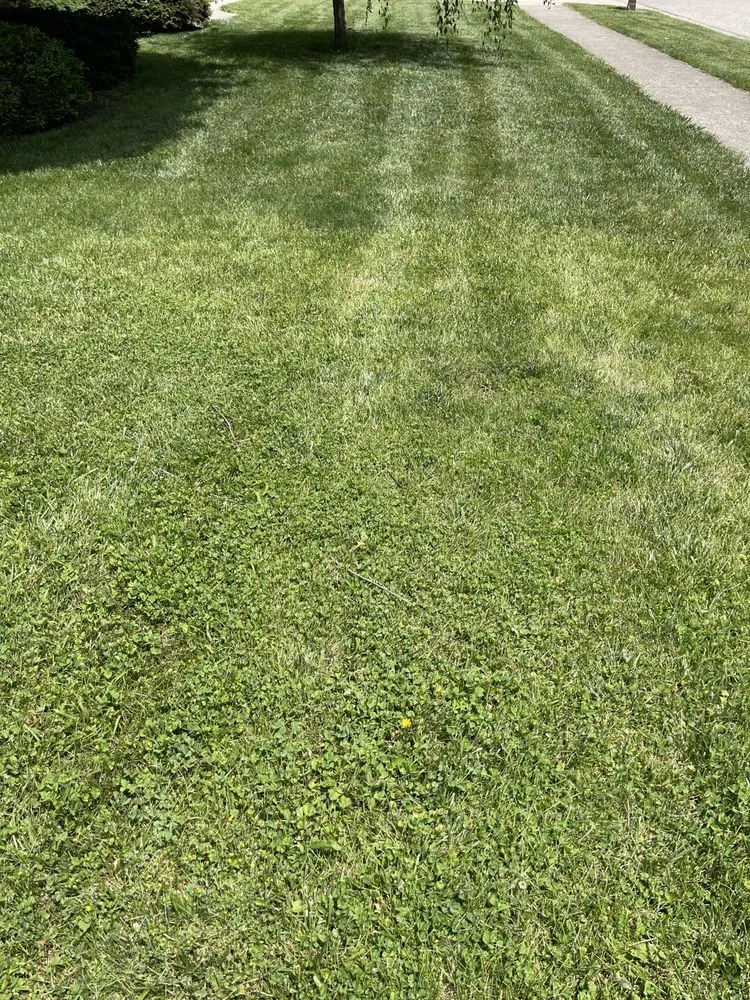 Custom garden landscaping near you across Eaton, OH - J&J Lawn Service