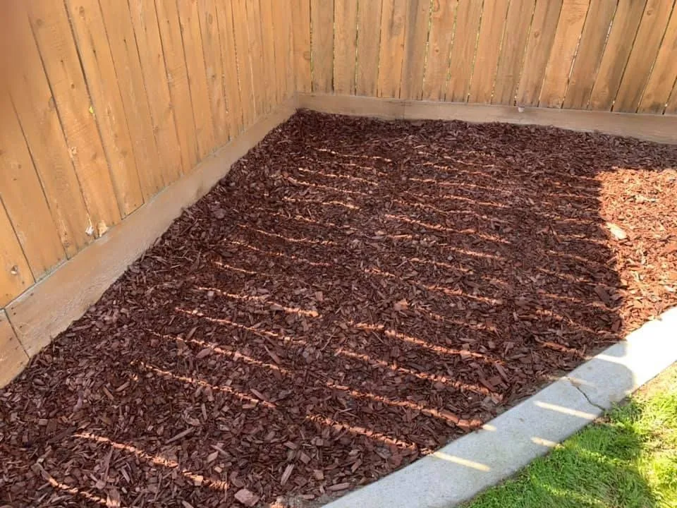 Affordable yard cleanup service in Hanford, CA by J&J Lawn Service