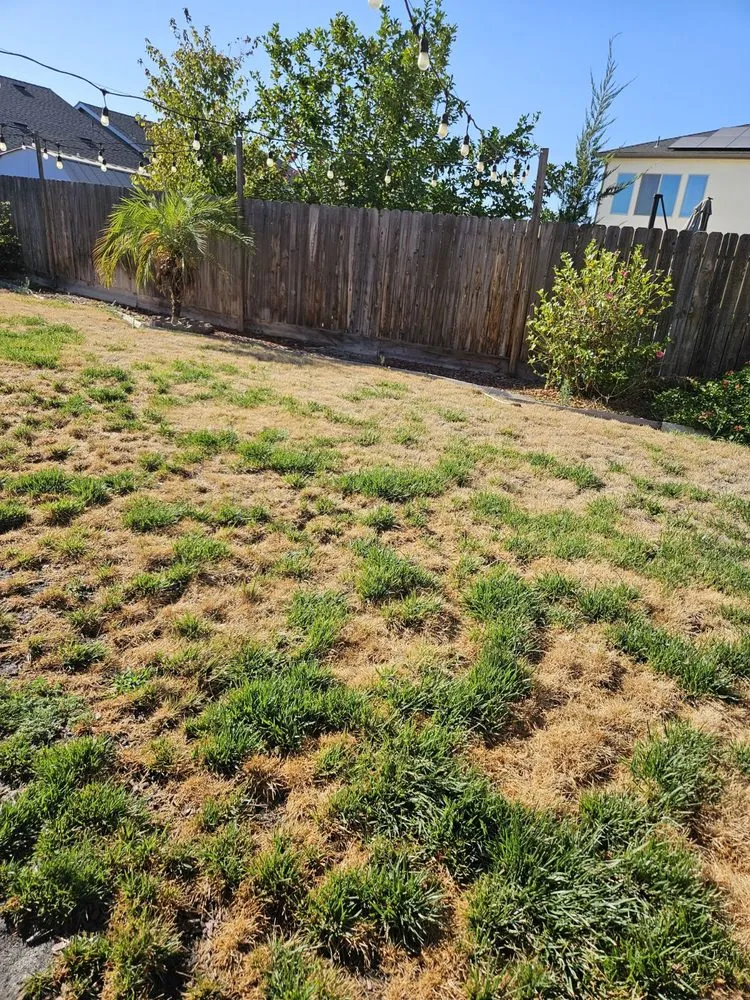 Professional lawn mowing service for homes across Hanford, CA - J&J Lawn Service