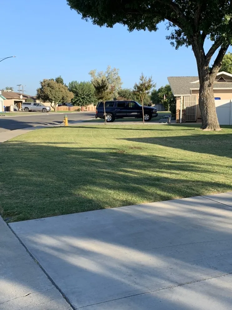 Local landscape design in Hanford, CA - J&J Lawn Service