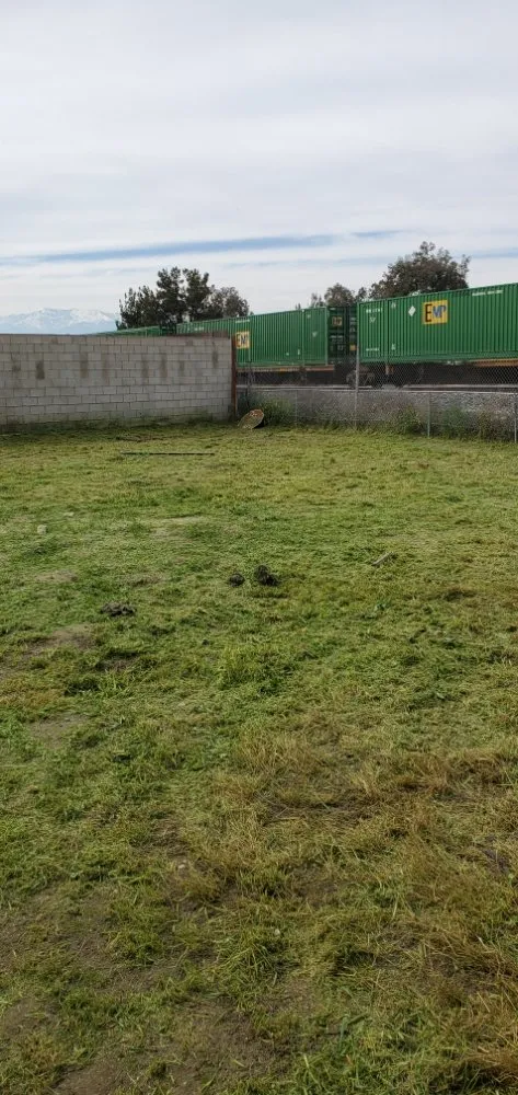Affordable yard cleanup service in Oak Glen, CA by J&J Lawn Service