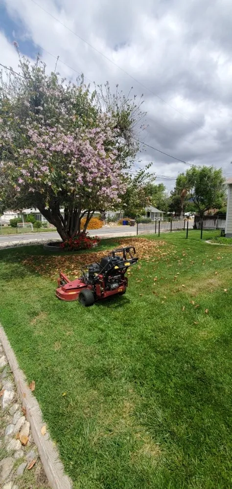 Reliable lawn care service for homes across Oak Glen, CA - J&J Lawn Service