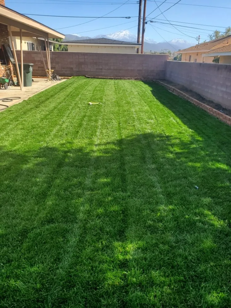 Professional landscape design in Oak Glen, CA - J&J Lawn Service
