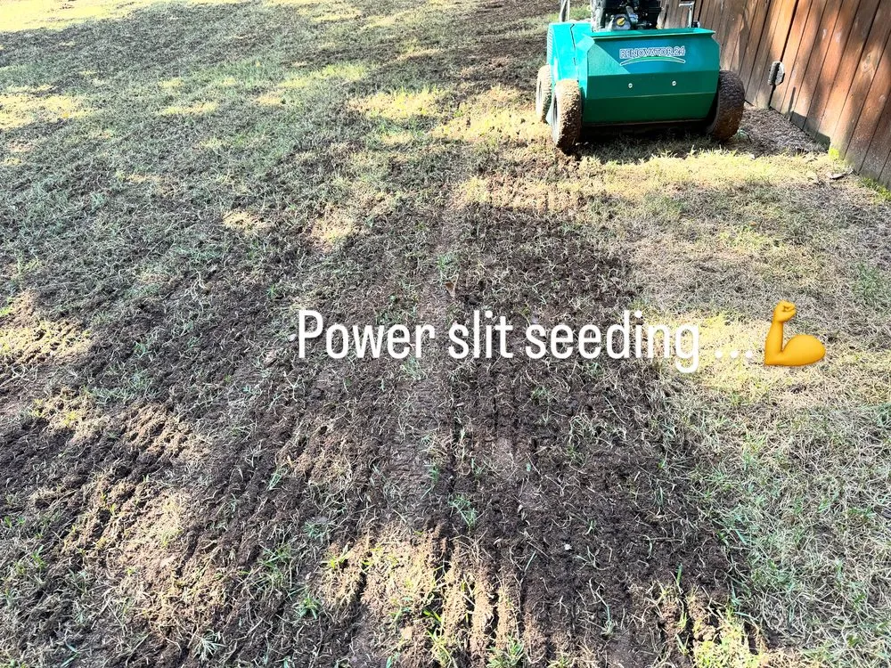 Local landscape design in Rock Hill, SC by J&J Lawn Topdressing