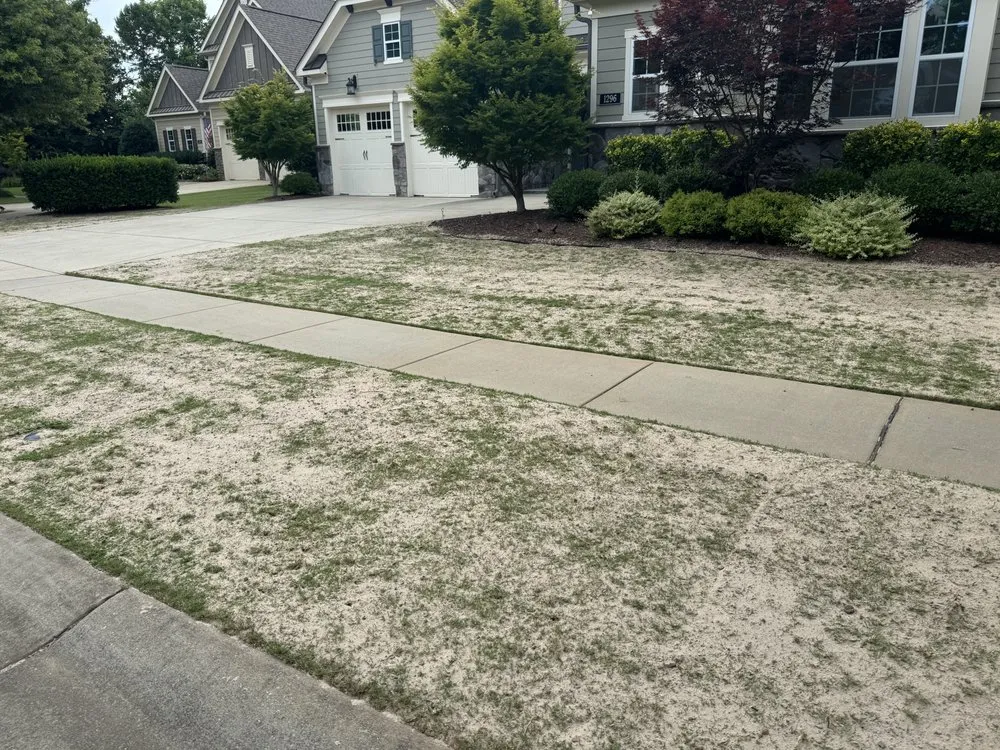 Reliable landscape design experts serving Rock Hill, SC - J&J Lawn Topdressing