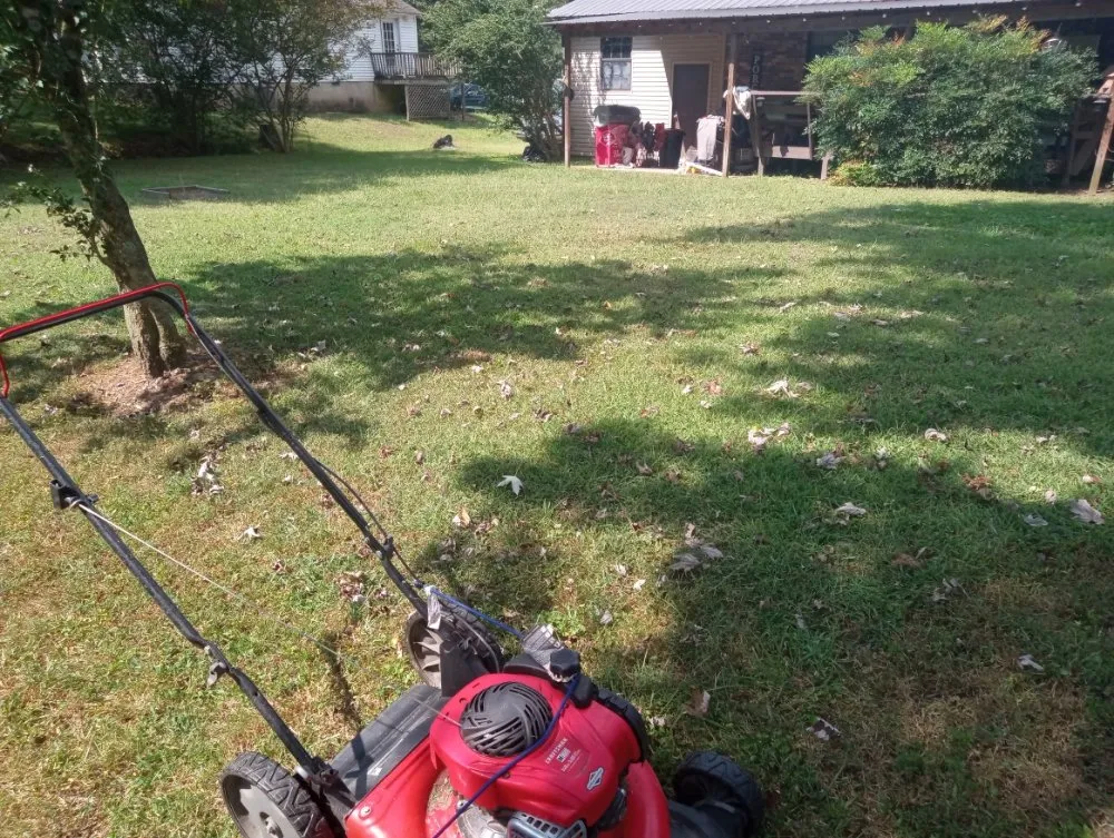 Trusted yard maintenance in Arab, AL - J&J Lawncare And More