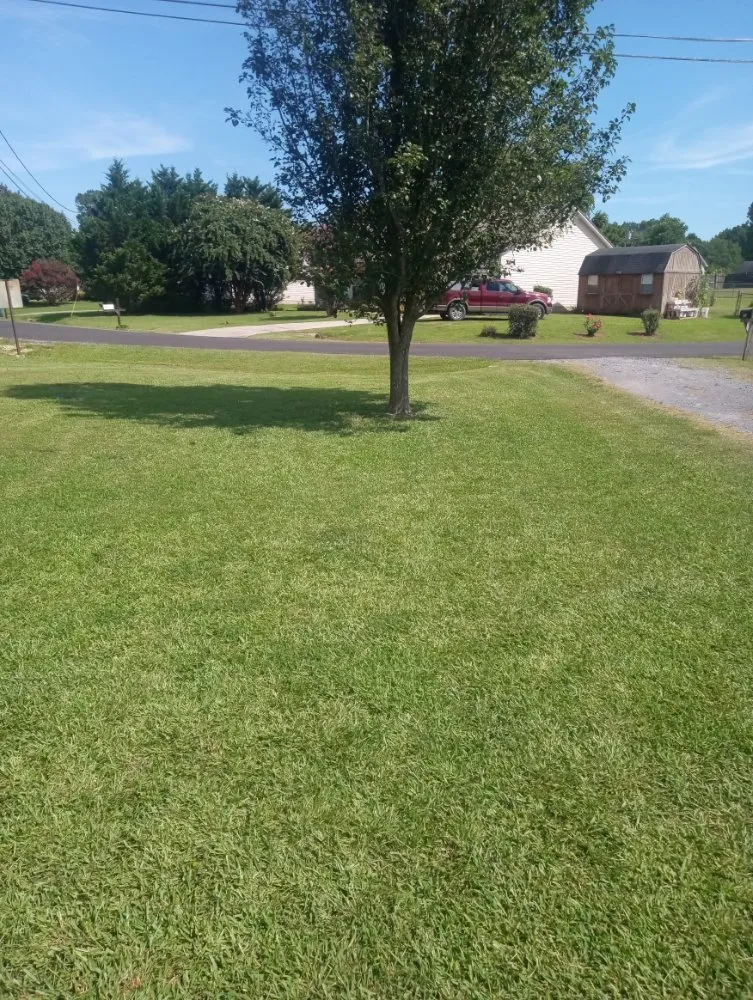 Professional landscaping services for homes in Arab, AL by J&J Lawncare And More