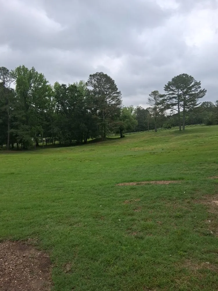 Affordable residential landscaping near you in Arab, AL by J&J Lawncare And More