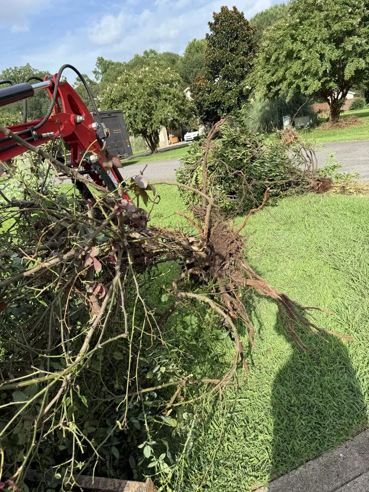 Professional yard cleanup service in Mooresboro, NC by J&J Lawncare
