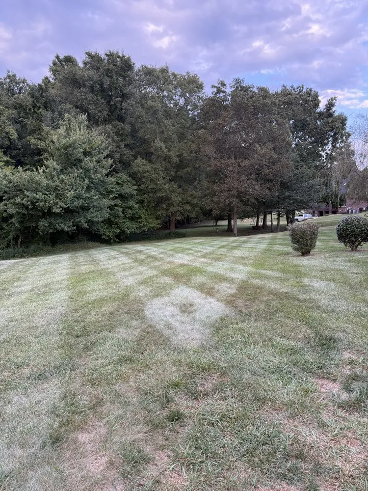Custom garden landscaping for outdoor upgrades in Mooresboro, NC by J&J Lawncare