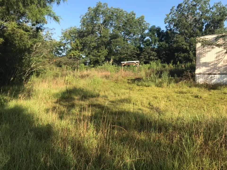 Top-rated landscape design experts serving New Brockton, AL - J&J Lawncare