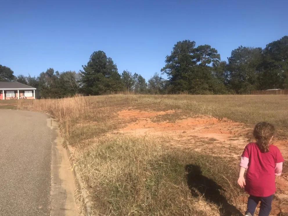 Local landscape design experts serving New Brockton, AL - J&J Lawncare