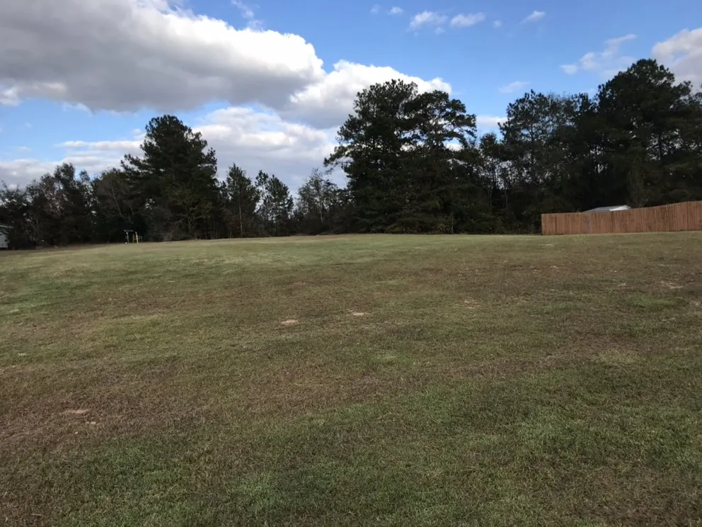 Trusted yard maintenance for year-round maintenance across New Brockton, AL - J&J Lawncare